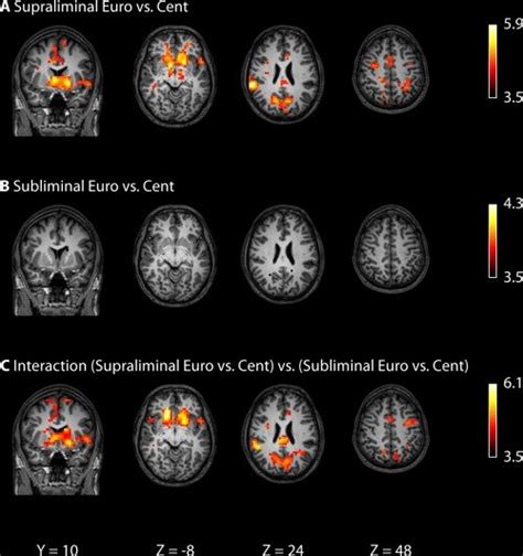 exam subliminal results|Effect of subliminal cues on test results. .